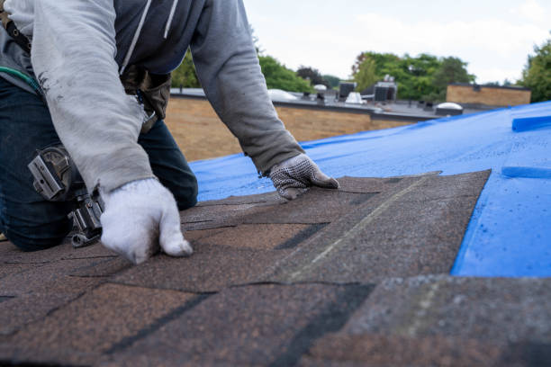 Best Roof Maintenance Services  in Paulding, OH